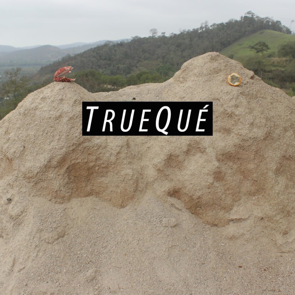 TrueQué, Radio Cocoa, Residencias Artísticas Ecuador